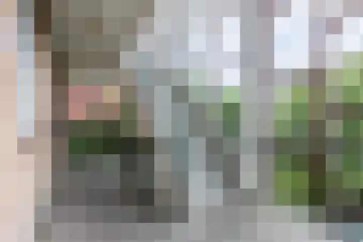 Plataanweg 10 Zaandijk thumbnail 7