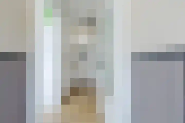 Plataanweg 10 Zaandijk thumbnail 9