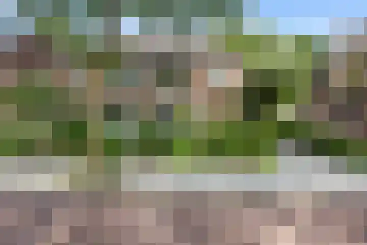 Plataanweg 17 in Assen