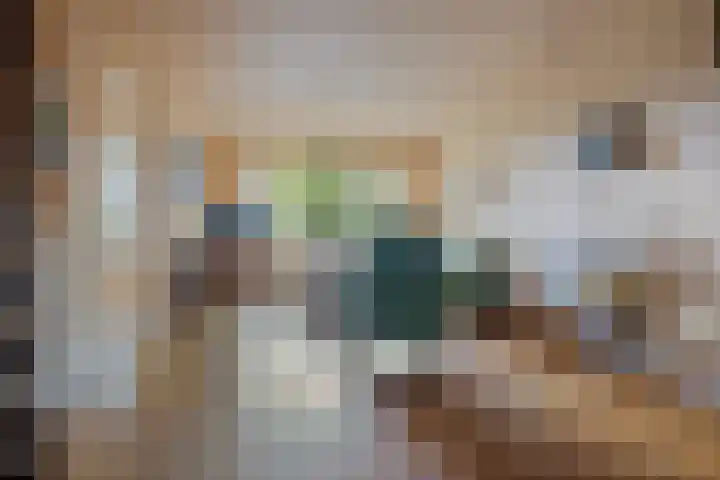 Plataanweg 17 Assen thumbnail 12