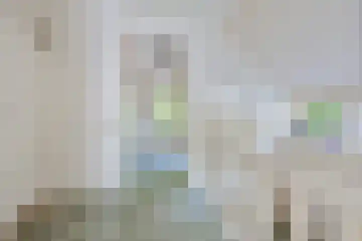 Plataanweg 17 Assen thumbnail 21