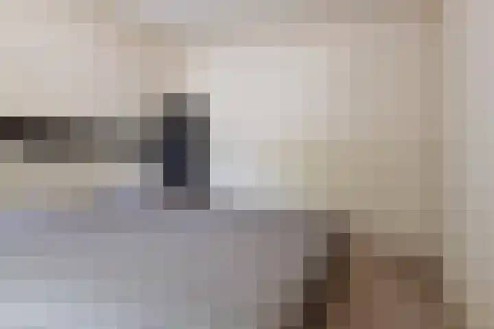 Plataanweg 17 Assen thumbnail 27