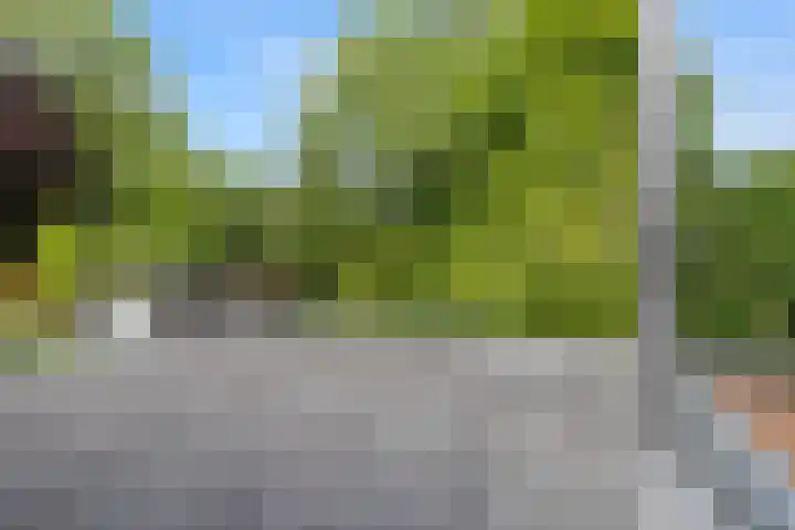 Plataanweg 17 Assen thumbnail 31