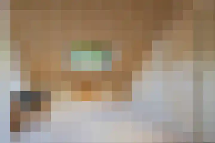 Plataanweg 17 Assen thumbnail 33