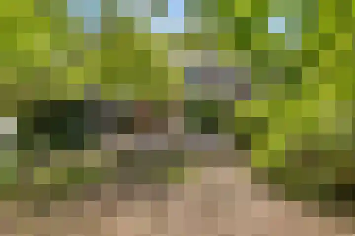 Plataanweg 17 Assen thumbnail 35