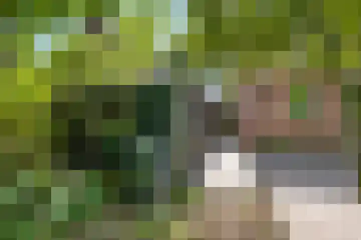 Plataanweg 17 Assen thumbnail 36