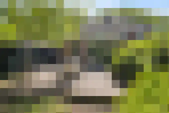 Plataanweg 17 Assen thumbnail 37