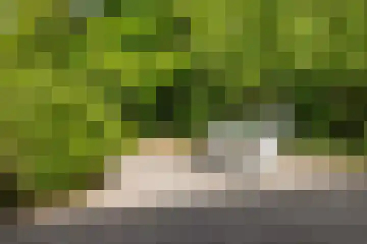Plataanweg 17 Assen thumbnail 38