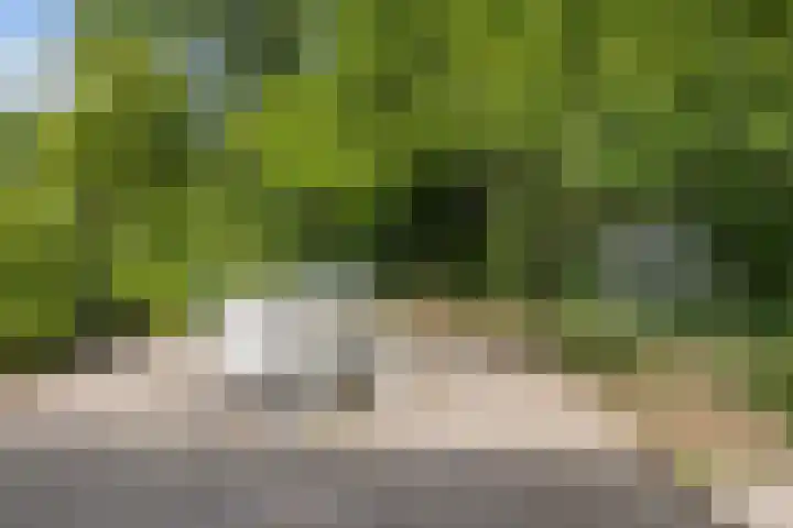 Plataanweg 17 Assen thumbnail 39