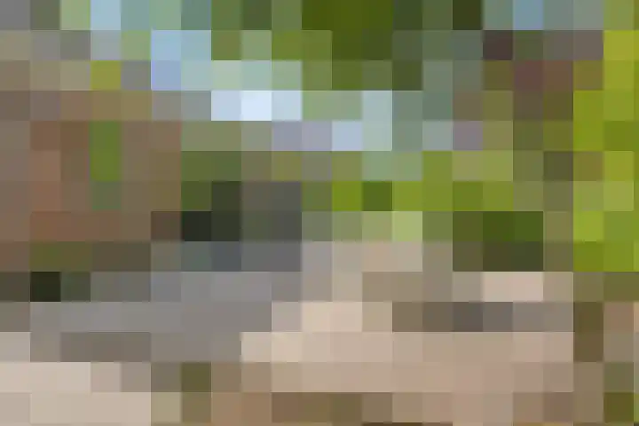 Plataanweg 17 Assen thumbnail 40