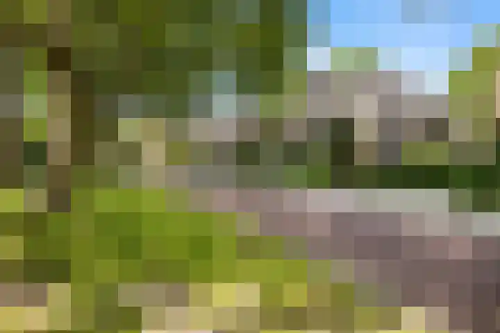 Plataanweg 17 Assen thumbnail 41