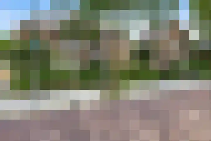 Plataanweg 17 Assen thumbnail 42