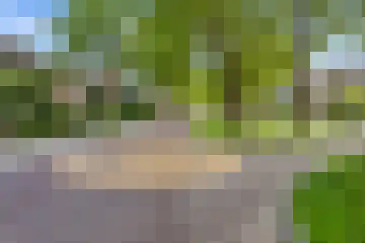 Plataanweg 17 Assen thumbnail 43