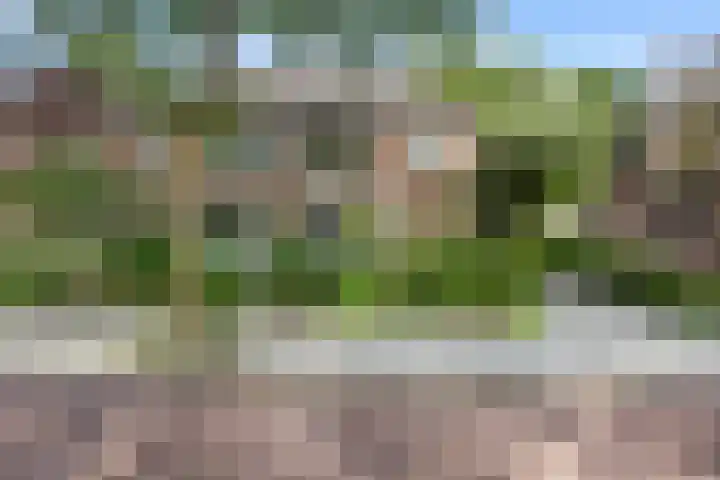 Plataanweg 17 Assen thumbnail 48