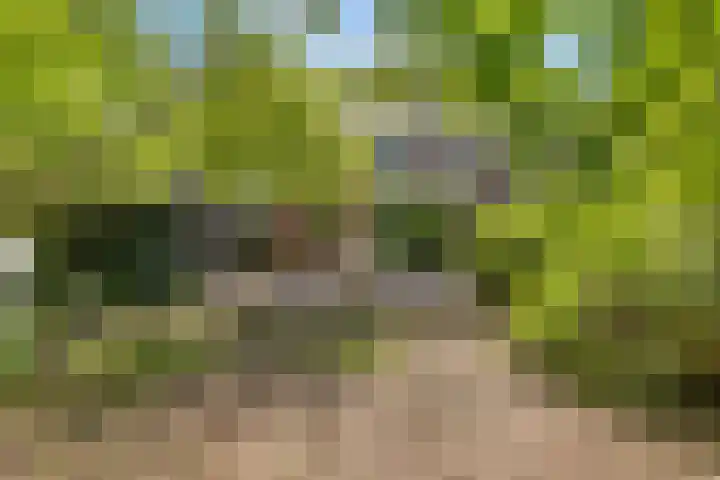 Plataanweg 17 Assen thumbnail 5