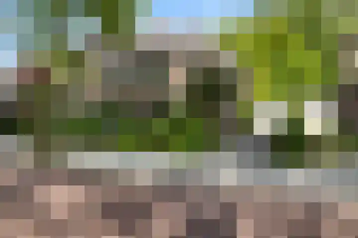 Plataanweg 17 Assen thumbnail 7