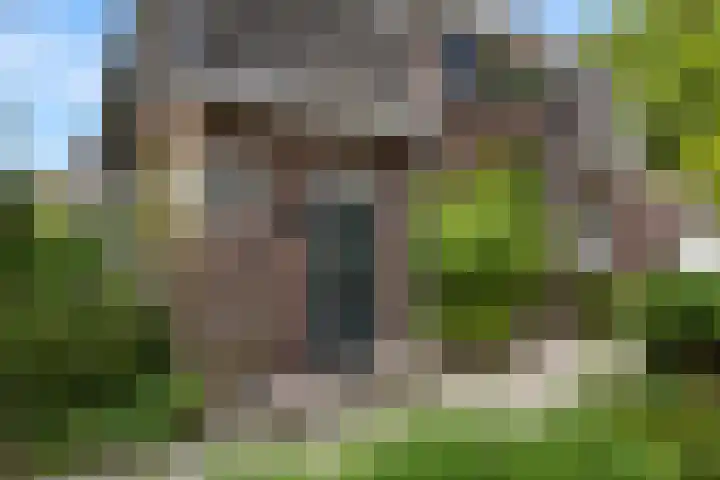Plataanweg 17 Assen thumbnail 8