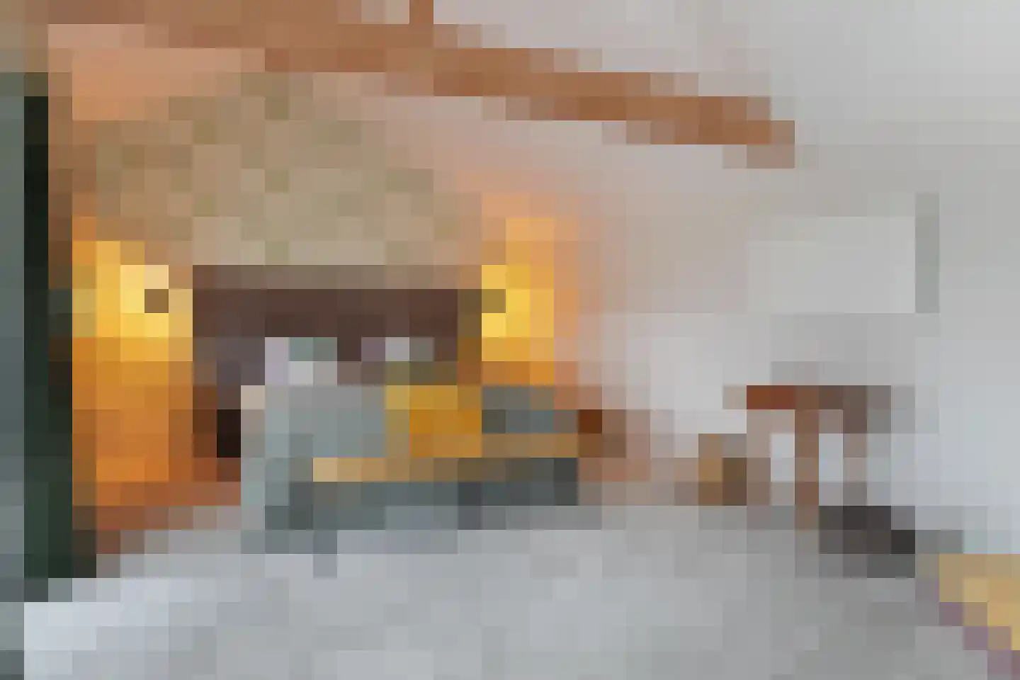 Plataanweg 19 Ovezande thumbnail 18