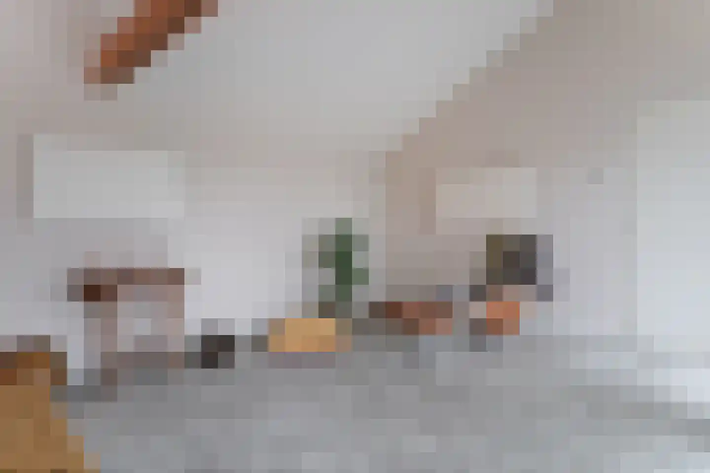 Plataanweg 19 Ovezande thumbnail 19
