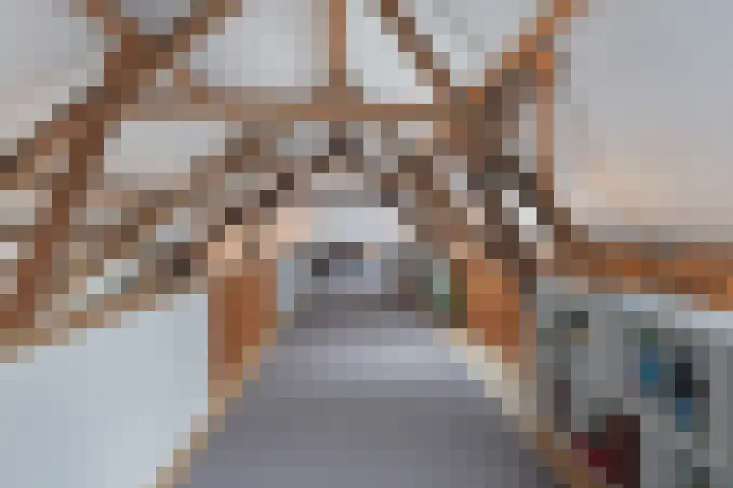 Plataanweg 19 Ovezande thumbnail 23