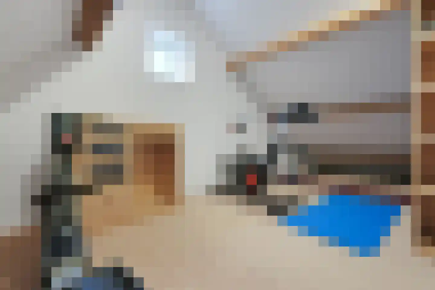 Plataanweg 19 Ovezande thumbnail 24