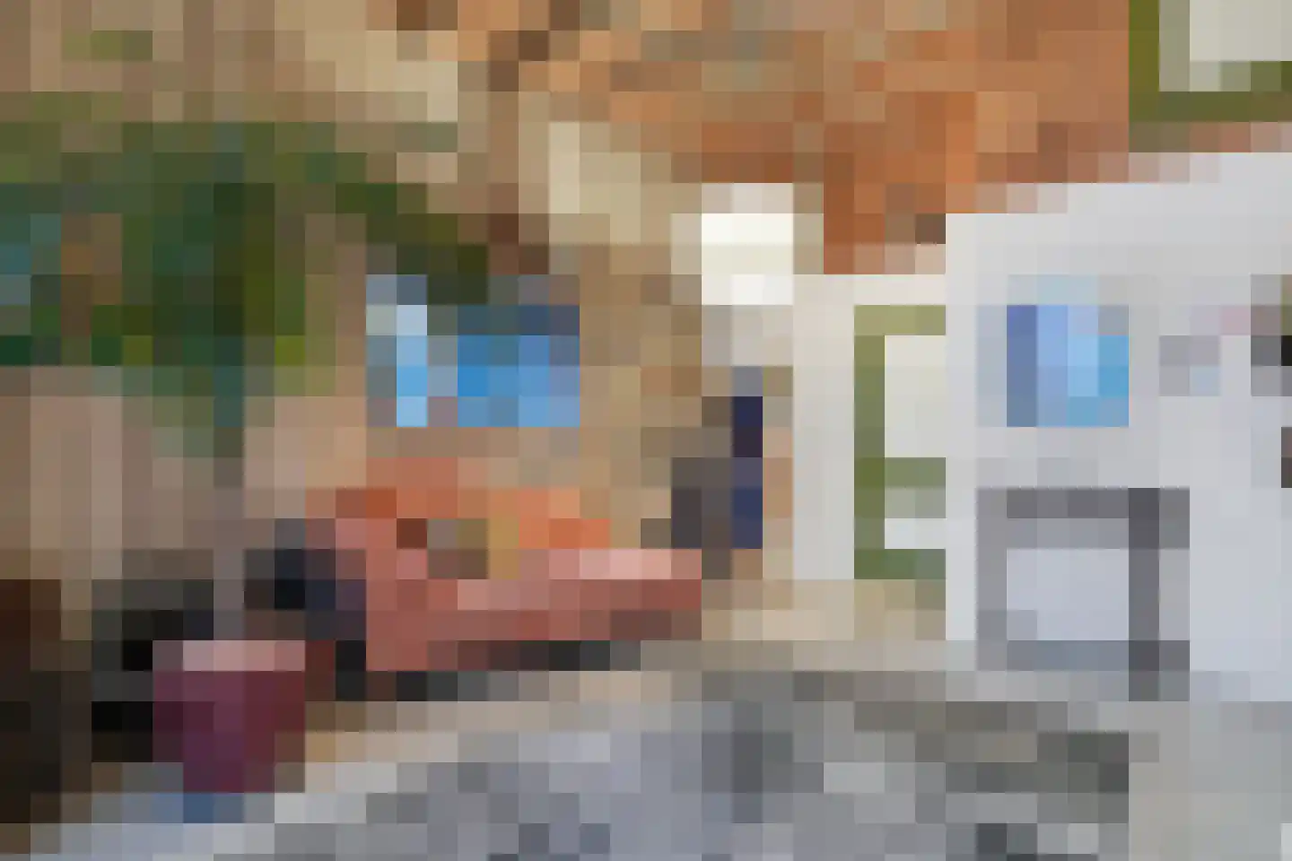 Plataanweg 19 Ovezande thumbnail 25