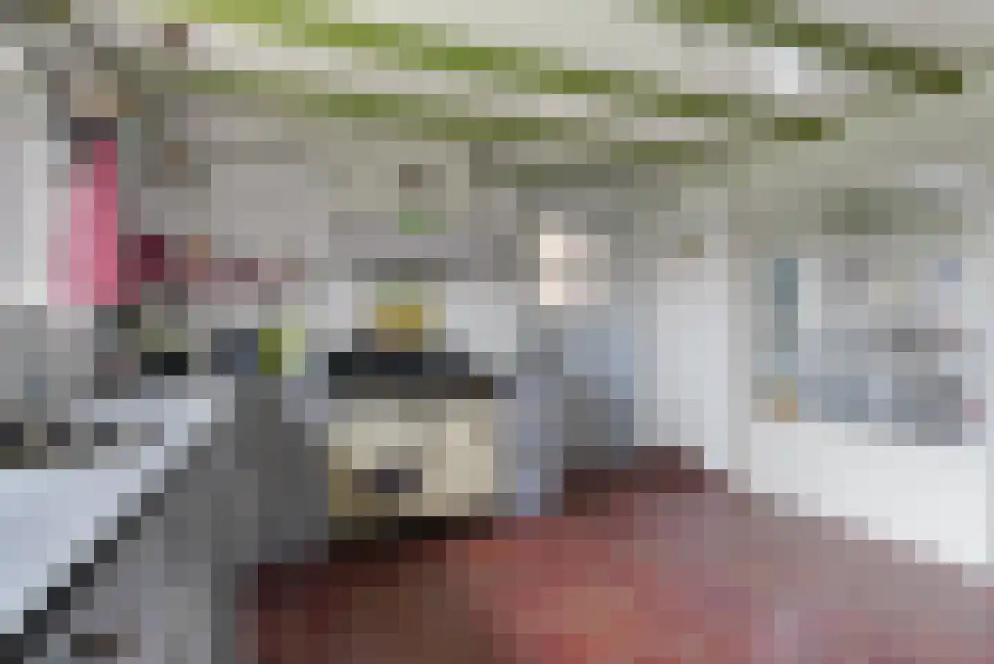 Plataanweg 19 Ovezande thumbnail 30