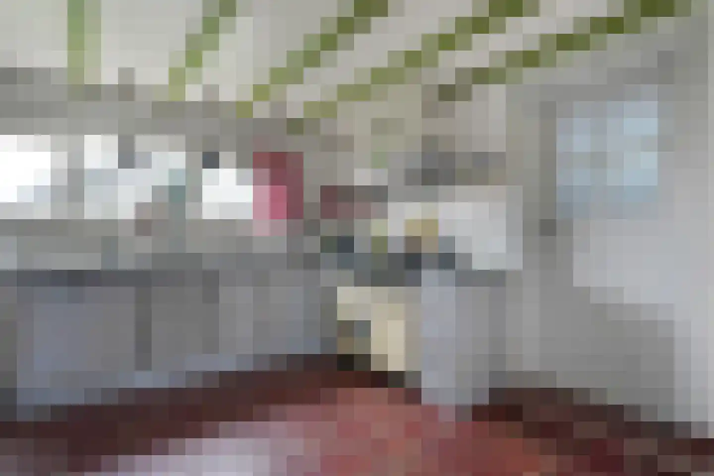 Plataanweg 19 Ovezande thumbnail 31
