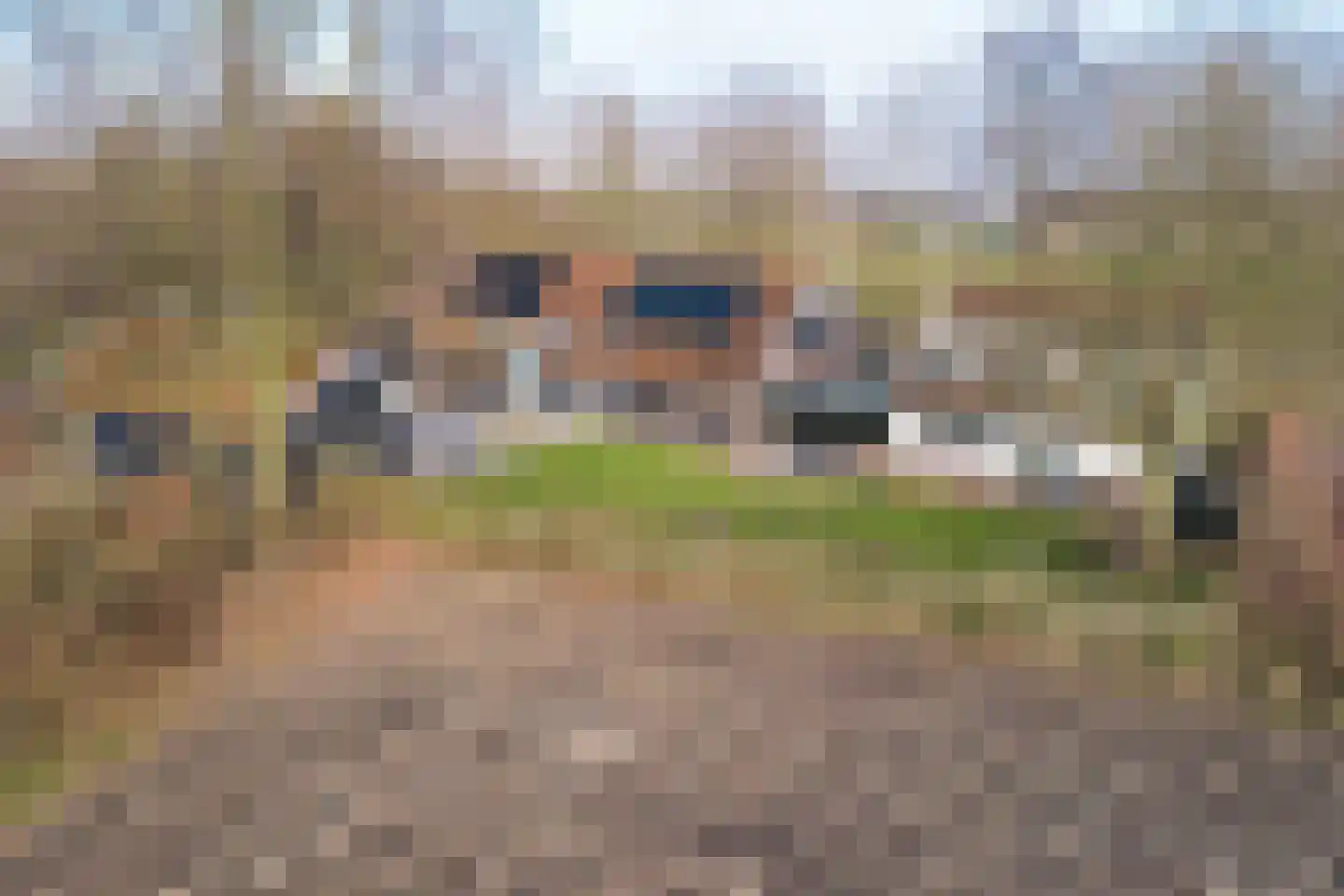 Plataanweg 19 Ovezande thumbnail 4
