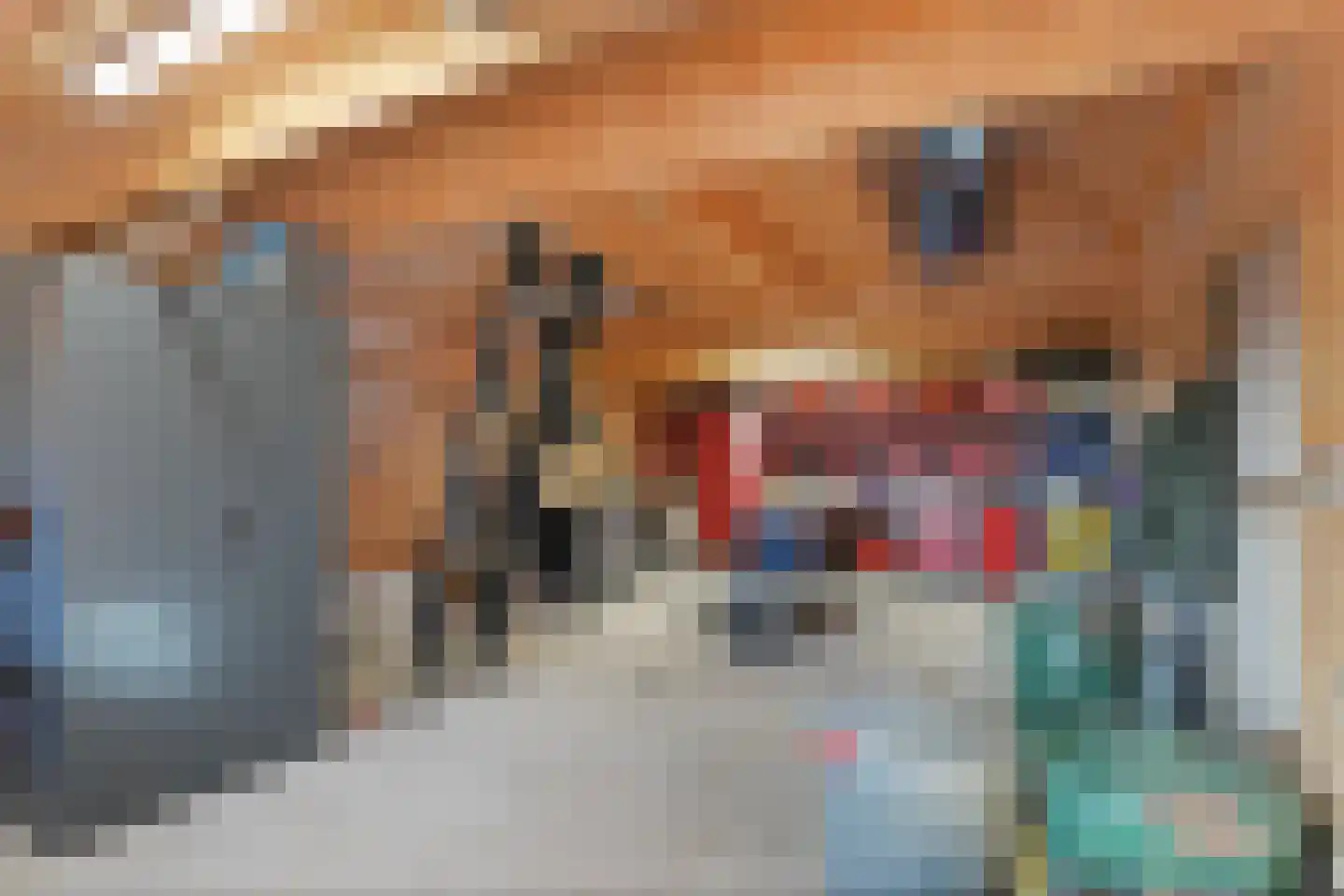 Plataanweg 19 Ovezande thumbnail 44