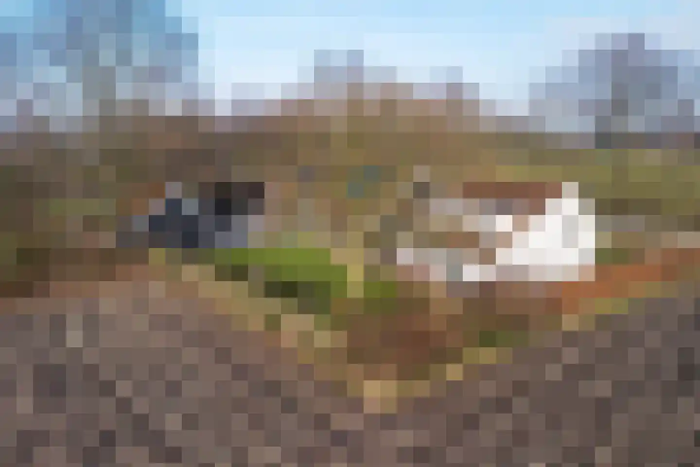 Plataanweg 19 Ovezande thumbnail 48