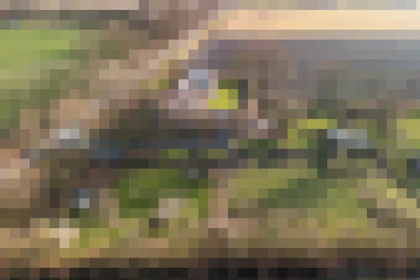 Plataanweg 19 Ovezande thumbnail 51