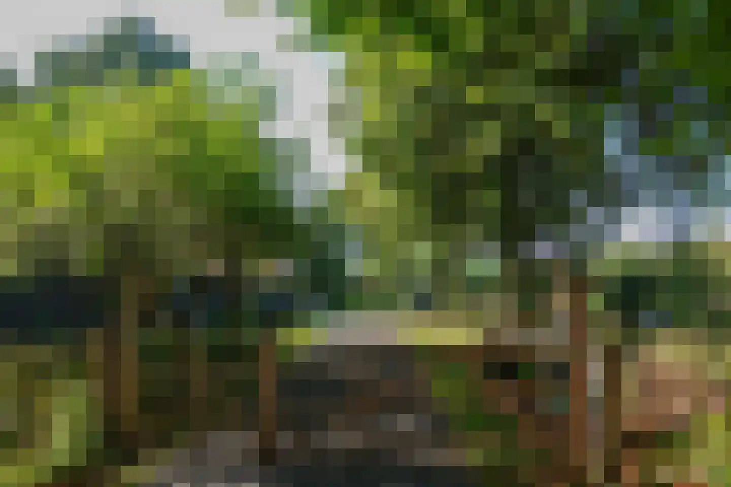 Plataanweg 19 Ovezande thumbnail 53