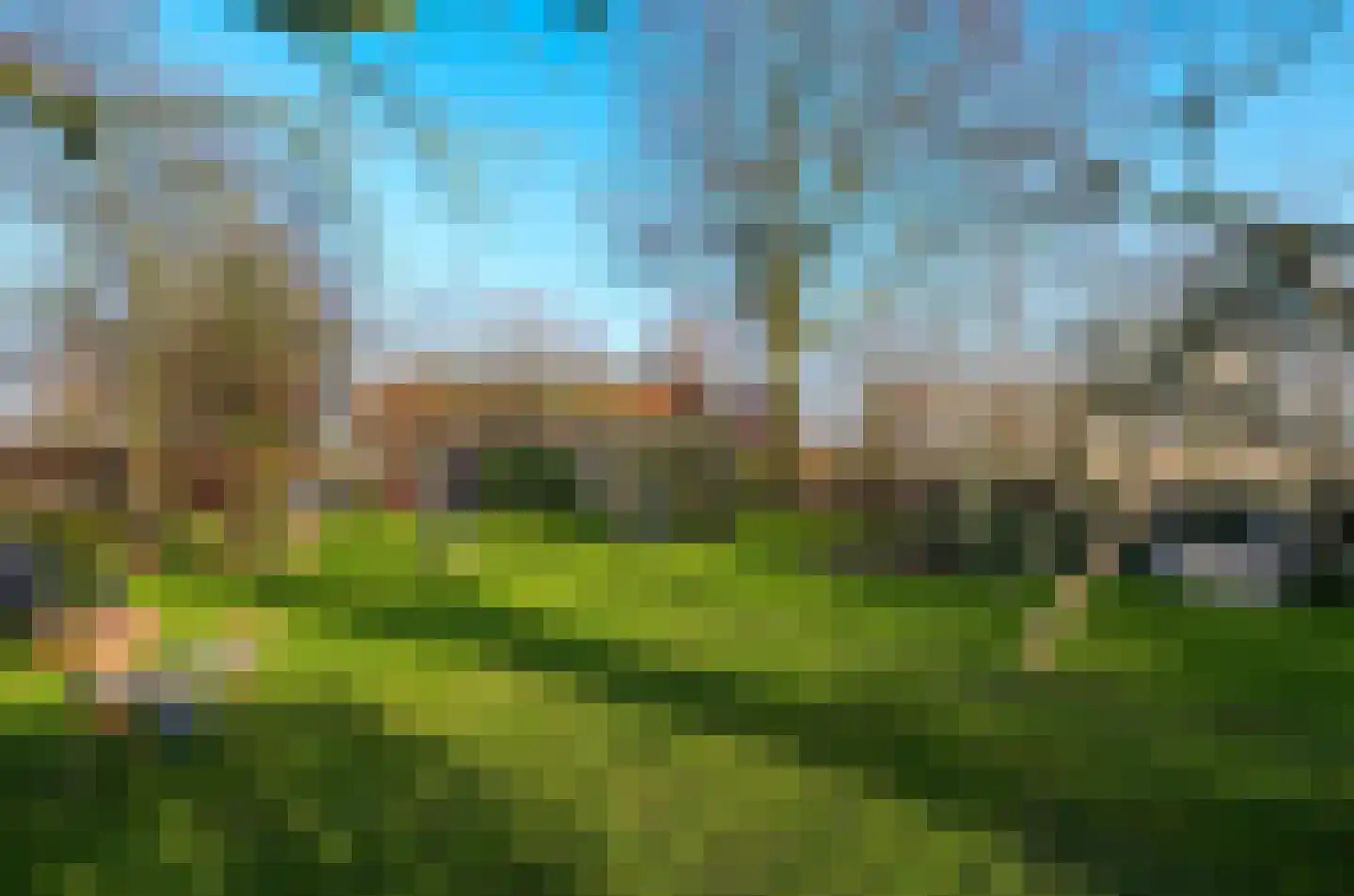 Plataanweg 19 Ovezande thumbnail 58