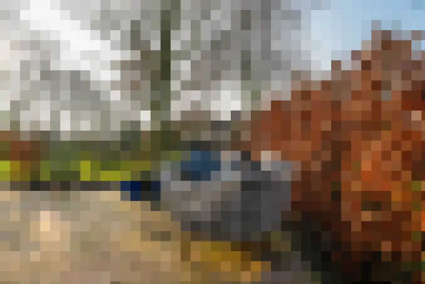 Plataanweg 19 Ovezande thumbnail 61