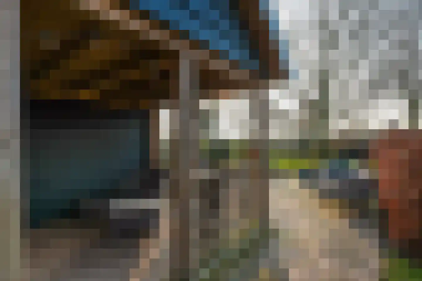 Plataanweg 19 Ovezande thumbnail 63