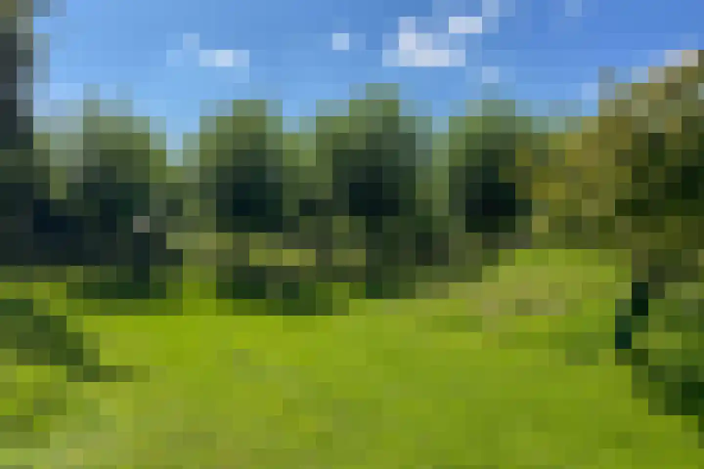 Plataanweg 19 Ovezande thumbnail 65
