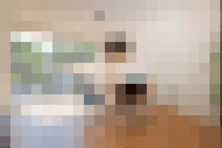 Plataanweg 22 Assen thumbnail 10