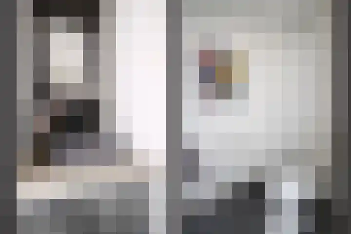 Plataanweg 22 Assen thumbnail 13
