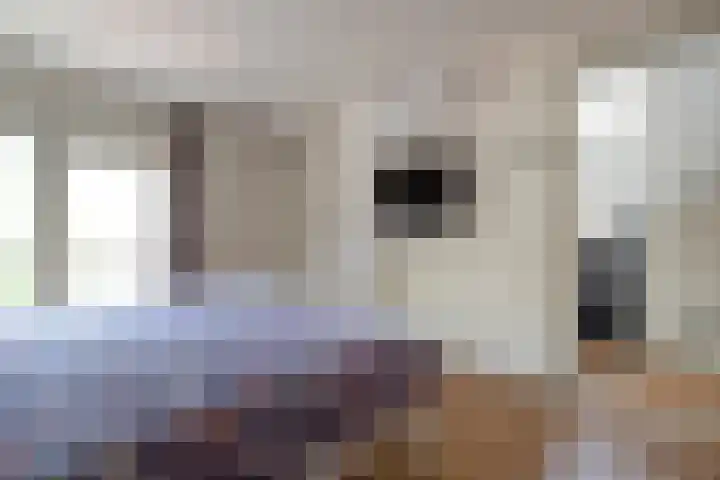 Plataanweg 22 Assen thumbnail 16
