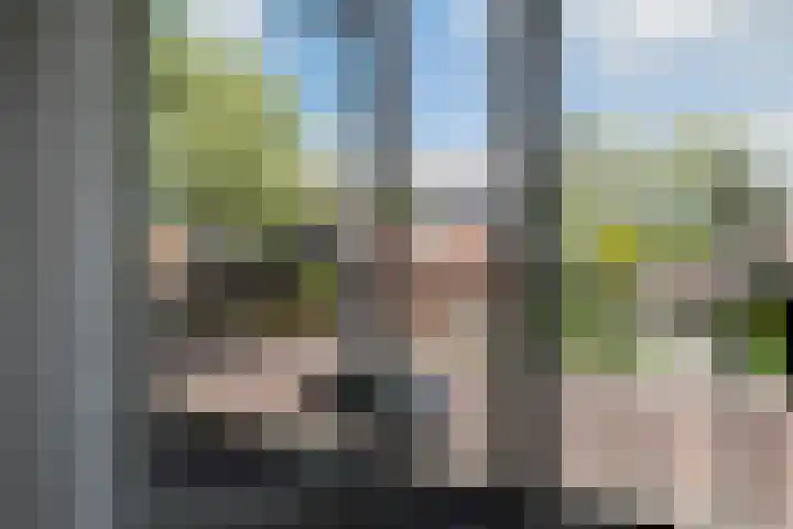 Plataanweg 22 Assen thumbnail 18
