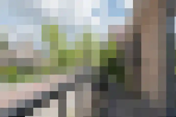 Plataanweg 22 Assen thumbnail 19