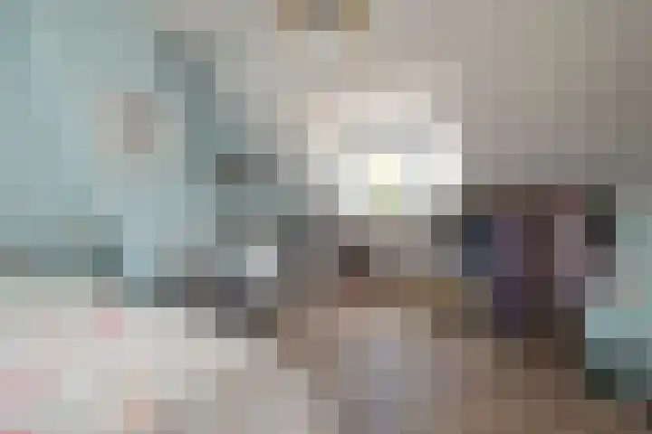 Plataanweg 22 Assen thumbnail 26