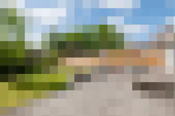 Plataanweg 22 Assen thumbnail 27