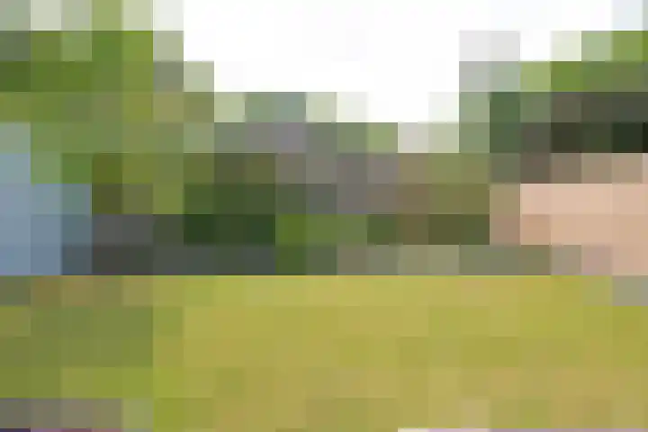Plataanweg 22 Assen thumbnail 31