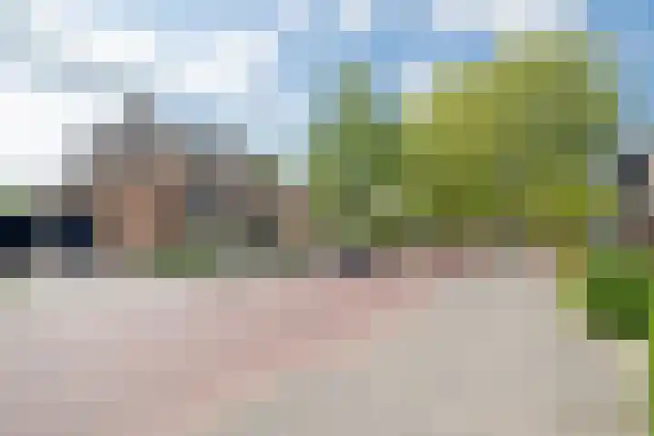 Plataanweg 22 Assen thumbnail 36
