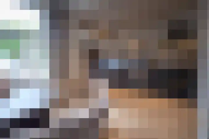 Plataanweg 24 Roden thumbnail 12