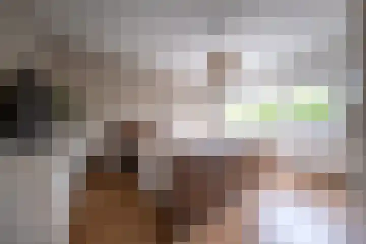 Plataanweg 24 Roden thumbnail 17