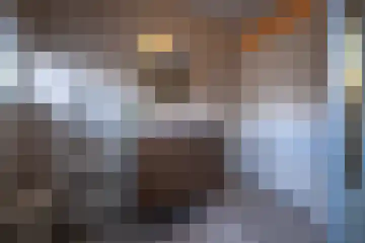Plataanweg 24 Roden thumbnail 25