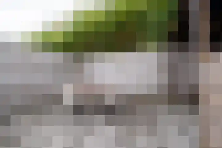 Plataanweg 24 Roden thumbnail 35